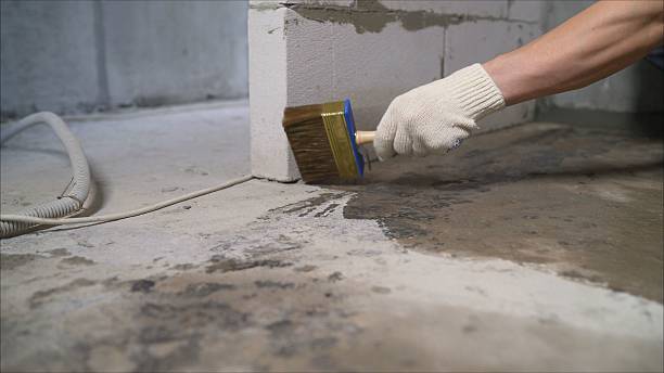 24/7 Emergency Crawl Space Encapsulation experts in Meridian, NY